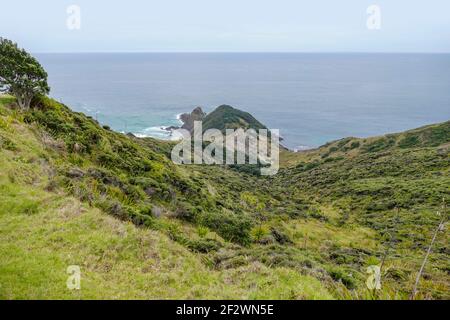 Küstenlandschaft mit Felsformation rund um Cape Reinga am Nordinsel in Neuseeland Stockfoto