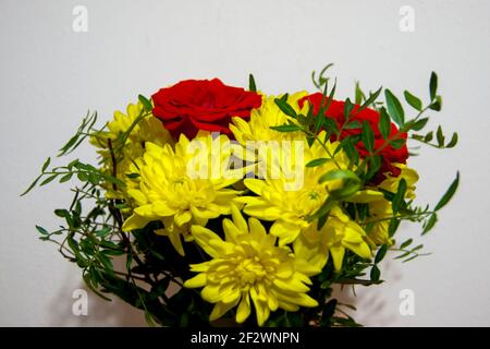 Ein Blumenstrauß aus roten Rosen und gelben Chrysanthemen ohne Verpackung steht in einer Vase gegen die weiße Wand. Die Blüten sind groß. Ein Geschenk, eine Liebeserklärung. Urlaub. Stockfoto