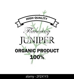 Juniper Aroma-Logo mit handgezeichneter Element isoliert auf weißem Hintergrund. Vektor-Illustration im Vintage-Stil Stock Vektor