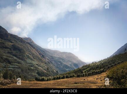 Schöner natürlicher Hintergrund mit grünen Bergen. Quime, in der Wohnung von La Paz, Bolivien, ist eine idillyc und kleine Stadt in einem tiefen Wald gelegen Stockfoto