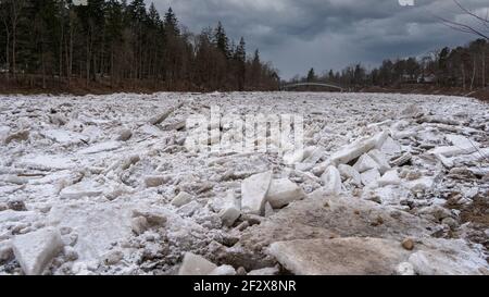 Riesige Eisladungen treiben im Fluss Ogre, Lettland. Staus auf dem Fluss im Frühling. Ein großer Haufen bewegter Eisblöcke Stockfoto