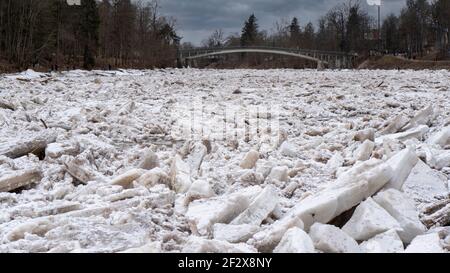 Riesige Eisladungen treiben im Fluss Ogre, Lettland. Staus auf dem Fluss im Frühling. Ein großer Haufen bewegter Eisblöcke Stockfoto