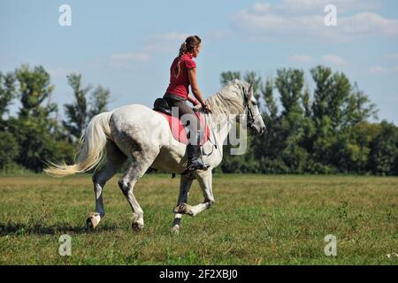 Reiten Modell Mädchen Reiten sportliche Dressurpferd im Sommer Felder Stockfoto