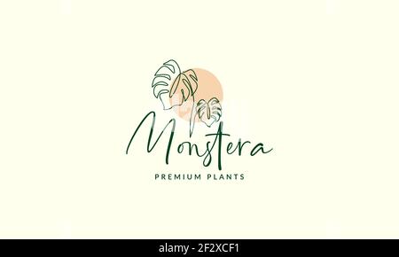 Schöne Pflanze Linien monstera Logo Vektor Symbol Symbol Illustration Design Stock Vektor
