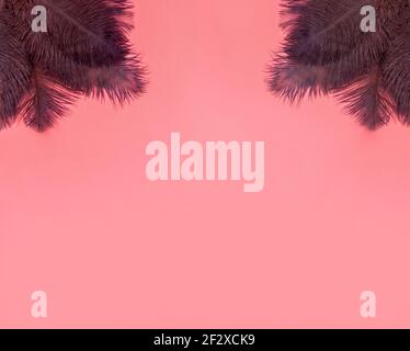 Abstrakt weichen rosa Hintergrund mit braunen Federn, Hintergrundtextur Draufsicht mit Copy Space, Retro modernes Design flach legen Stockfoto