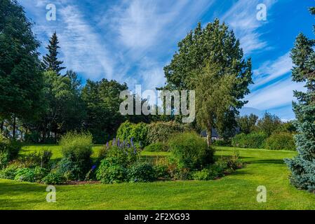 Blick auf den botanischen Garten in Akureyri, Island Stockfoto