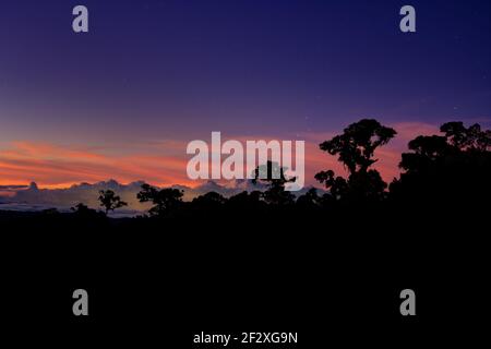 Landschaft von Talamanca Bergen in Costa Rica, Mittelamerika, Nacht oder Sonnenaufgang oder Sonnenuntergang Blick von Los Quetzales, Silhouetten der Bäume Agains Stockfoto
