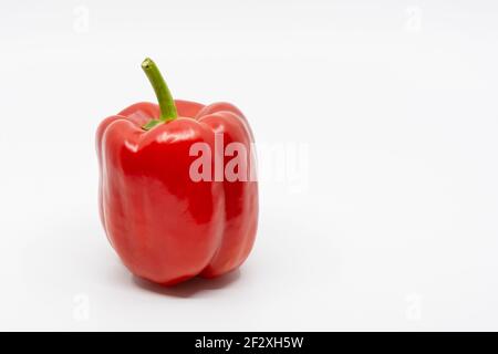Rote Paprika isoliert auf weißem Hintergrund Stockfoto