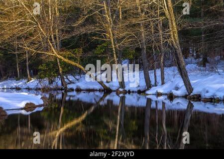 East Branch Wallenpaupack Creek, ein Nebenfluss des Delaware River, im Promised Land State Park in den Pocono Mountains von Pennsylvania. Stockfoto