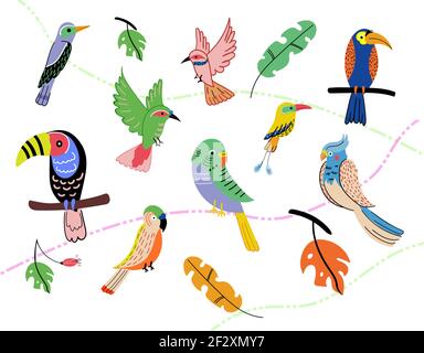 Exotische Papageien gesetzt sitzen auf Brunches Vektor Stock Vektor