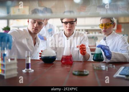 Junge Chemiestudenten arbeiten mit Vorsicht beim Umgang mit gefährlichen Chemikalien in einer Arbeitsatmosphäre im Universitätslabor. Wissenschaft, Chemie Stockfoto