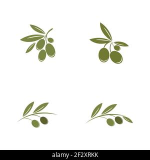 Satz von Olive Logo Vorlage Vektor Symbol Illustration Design Stock Vektor