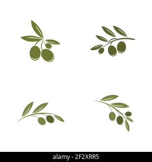 Satz von Olive Logo Vorlage Vektor Symbol Illustration Design Stock Vektor