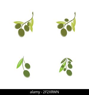 Satz von Olive Logo Vorlage Vektor Symbol Illustration Design Stock Vektor