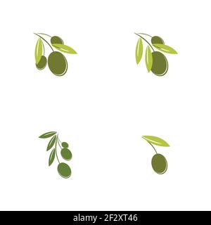 Satz von Olive Logo Vorlage Vektor Symbol Illustration Design Stock Vektor