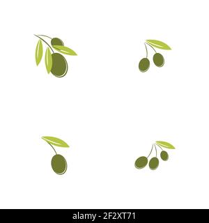 Satz von Olive Logo Vorlage Vektor Symbol Illustration Design Stock Vektor