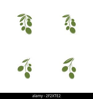 Satz von Olive Logo Vorlage Vektor Symbol Illustration Design Stock Vektor
