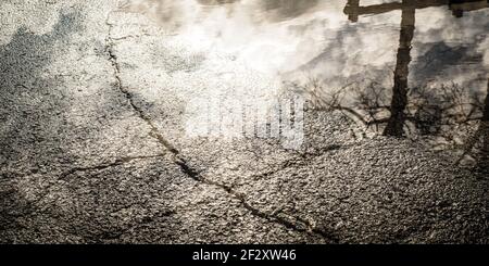 Mehrfachbelichtung: Ein Baum, die Sonne, der blaue Himmel und einige Wolken spiegeln sich in einer Pfütze Stockfoto