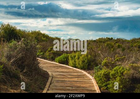 Holzboardwalk durch verschiedene natürliche Lebensräume für die Betrachtung der Flora und Fauna in Oso Flaco Lake Natural Area, Kalifornien Stockfoto