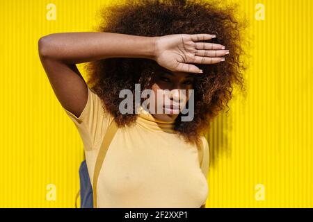 Junge ethnische Weibchen mit Afro-Frisur auf gelber Wand stehen Und Blick auf die Kamera Stockfoto