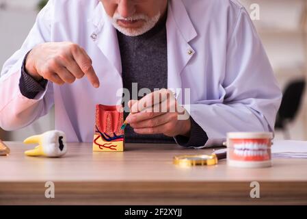 Alte Zahnarztlehrerin sitzt im Klassenzimmer Stockfoto