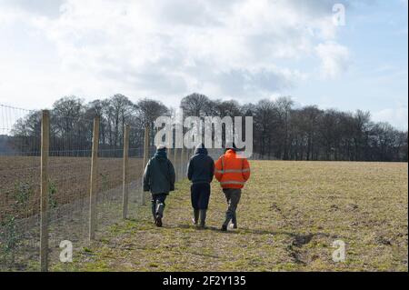 Aylesbury Vale, Buckinghamshire, Großbritannien. März 2021, 12th. Anti-HS2-Aktivisten setzen ihren Kampf fort, um Jones Hill Wood vor den Kettensägen von HS2 zu retten. Sehr seltene Barbadelle Fledermäuse sind bekannt, um im Wald zu brüten, jedoch, HS2 sind immer bereit, einen großen Teil von Jones Hill Wood für den Bau eines Viadukts als Teil der umstrittenen High Speed Rail-Verbindung von London nach Birmingham zu zerstören. Ein Team von Anti-HS2-Aktivisten lebt in einem Teil der Wälder, um zu versuchen, HS2 und ihre Zerstörung von Lebensräumen für Wildtiere zu stoppen. Quelle: Maureen McLean/Alamy Stockfoto