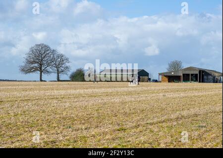 Aylesbury Vale, Buckinghamshire, Großbritannien. März 2021, 12th. Der nahe gelegene Bauernhof. Anti-HS2-Aktivisten setzen ihren Kampf fort, um Jones Hill Wood vor den Kettensägen von HS2 zu retten. Sehr seltene Barbadelle Fledermäuse sind bekannt, um im Wald zu brüten, jedoch, HS2 sind immer bereit, einen großen Teil von Jones Hill Wood für den Bau eines Viadukts als Teil der umstrittenen High Speed Rail-Verbindung von London nach Birmingham zu zerstören. Ein Team von Anti-HS2-Aktivisten lebt in einem Teil der Wälder, um zu versuchen, HS2 und ihre Zerstörung von Lebensräumen für Wildtiere zu stoppen. Quelle: Maureen McLean/Alamy Stockfoto