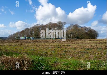 Aylesbury Vale, Buckinghamshire, Großbritannien. März 2021, 12th. Anti-HS2-Aktivisten setzen ihren Kampf fort, um Jones Hill Wood vor den Kettensägen von HS2 zu retten. Sehr seltene Barbadelle Fledermäuse sind bekannt, um im Wald zu brüten, jedoch, HS2 sind immer bereit, einen großen Teil von Jones Hill Wood für den Bau eines Viadukts als Teil der umstrittenen High Speed Rail-Verbindung von London nach Birmingham zu zerstören. Ein Team von Anti-HS2-Aktivisten lebt in einem Teil der Wälder, um zu versuchen, HS2 und ihre Zerstörung von Lebensräumen für Wildtiere zu stoppen. Quelle: Maureen McLean/Alamy Stockfoto