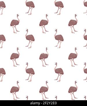 Niedliches nahtloses Vektor-Muster mit australischem Strauß. Brauner Vogel, zum Bedrucken von T-Shirts, Verpackungen, Tapeten, Papier, Plakaten. Lustiger Charakter in einem flachen Stil. Isoliertes Weiß Stock Vektor