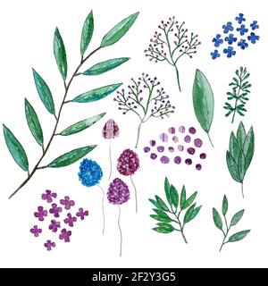 Blumencollage von Zweigen mit Blättern, kleinen Kleeblättern und Farbflecken Stockfoto