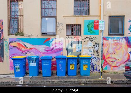 Street Art in Goddard Street in Newtown, Sydney, Australien mit sympathisch gefärbten Abfalleimer Stockfoto