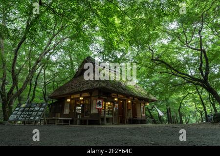 Das alte hölzerne Mizyua Chaya, traditionelles japanisches Teehaus in der Nähe des Kasuga Schreins im Nara Park, Nara Japan Stockfoto