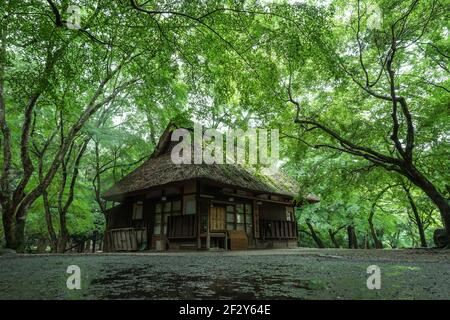 Das alte hölzerne Mizyua Chaya, traditionelles japanisches Teehaus in der Nähe des Kasuga Schreins im Nara Park, Nara Japan Stockfoto