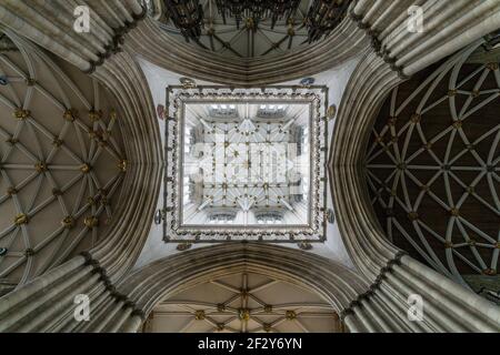 Innenansicht der verzierten gotischen Decke der York Minster Kathedrale in York, England, Großbritannien Stockfoto