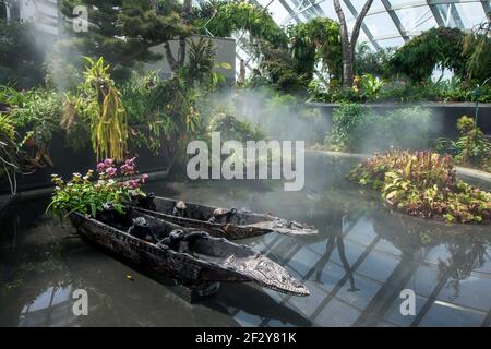 Ein Paar einheimischer Holzkanus sitzt in einem Teich im Regenwald der Gardens by the Bay in Singapur. Gardens by the Bay ist ein Naturpark. Stockfoto