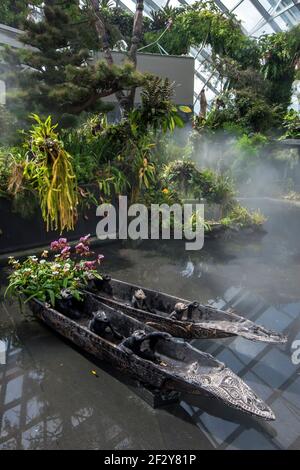 Ein Paar einheimischer Holzkanus sitzt in einem Teich im Regenwald der Gardens by the Bay in Singapur. Gardens by the Bay ist ein Naturpark. Stockfoto