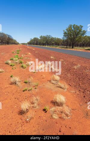 Vertikale Ansicht von gelben Grasbüschel im roten Staub im Outback entlang des Adventure Way in der Nähe von Cunnamulla, Queensland, QLD, Australien Stockfoto