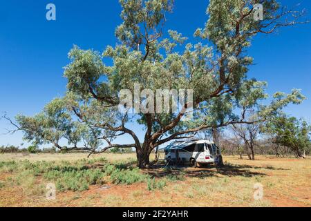 Toyota Coaster Wohnmobil Camping im Outback in Charlotte Plains, in der Nähe von Cunnamulla, Queensland, QLD, Australien Stockfoto