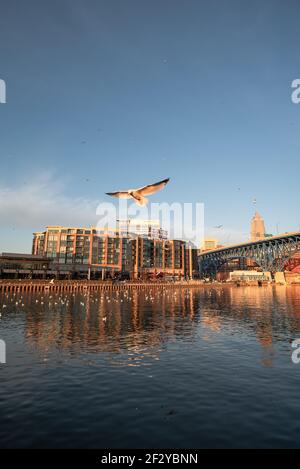 Wohnungen East Bank in cleveland ohio am cuyahoga Fluss Stockfoto