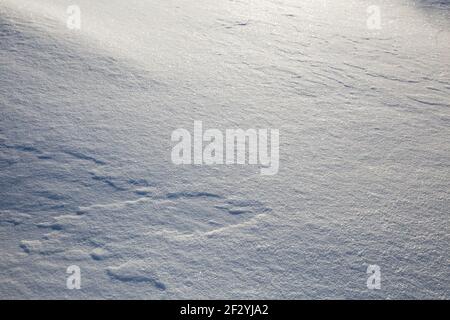 Natürliche Hintergrund Schnee Textur. Frischer Schnee funkelt in der Sonne Stockfoto