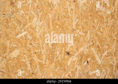 Holzhintergrund, Holzfaserplatte oder Spanplatten Muster, gepresste Holzspäne Hintergrund, Wand aus Holz Stockfoto