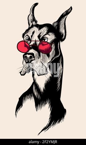 Schöner Doberman Hund mit roter Sonnenbrille - Vektor-Illustration Stock Vektor