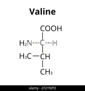 Valin-Aminosäure. Chemische Molekülformel der Valin-Aminosäure. Vektorgrafik auf isoliertem Hintergrund Stock Vektor