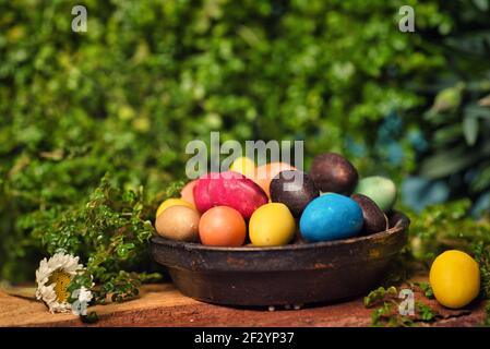 Schokolade Ostereier mit Ei Süßigkeiten auf einem Holztisch Im Hof mit grünen Frühlingspflanzen im Hintergrund Stockfoto