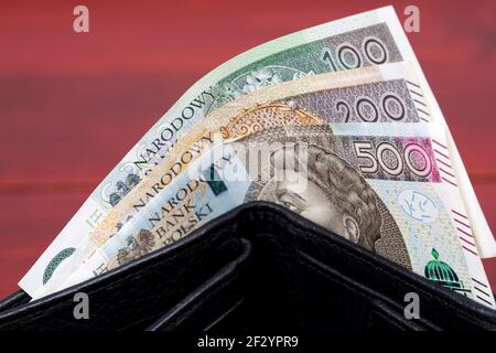 Polnisches Geld - Zloty in der Brieftasche Stockfoto