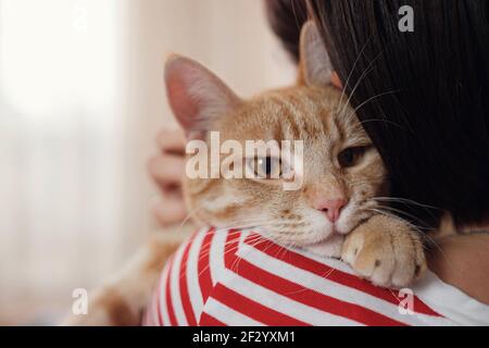 Frau entspannt mit ihrem Ingwer tabby Katze auf einem Sofa. Gemütliche Szene, Hygge-Konzept. Tiere und Lebensstil Stockfoto