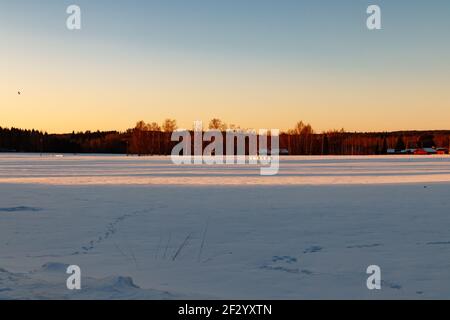 Eine Winterlandschaft mit Hasenspuren auf schneebedecktem Feld bei Sonnenuntergang. Stockfoto