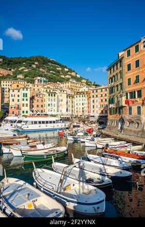 Der Hafen ist das Herz der malerischen Stadt Camogli, im östlichen Teil von Ligurien, Italien. Es ist ein kleiner Hafen, der mit traditionellen Booten überfüllt ist Stockfoto