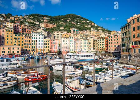 Der Hafen ist das Herz der malerischen Stadt Camogli, im östlichen Teil von Ligurien, Italien. Es ist ein kleiner Hafen, der mit traditionellen Booten überfüllt ist Stockfoto