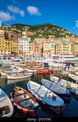 Der Hafen ist das Herz der malerischen Stadt Camogli, im östlichen Teil von Ligurien, Italien. Es ist ein kleiner Hafen, der mit traditionellen Booten überfüllt ist Stockfoto